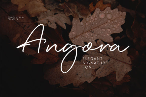 Angora: A Handwritten Font for Editorial Elegance