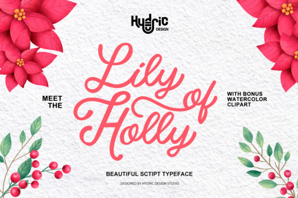 Lily Of Holy: A Font That Elevates Your Brand’s Visual Story