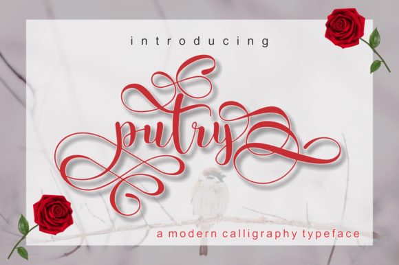 Putry: The Font That Elevates Your Campaigns